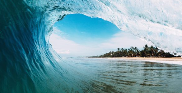 Venice Surfing Culture