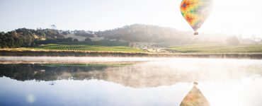 Trip to San Francisco, Napa Valley
