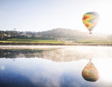 Trip to San Francisco, Napa Valley