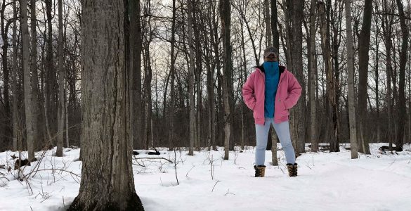 First Winter as architect in the USA