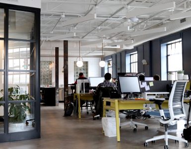 professional experience in the USA