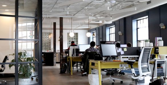 professional experience in the USA