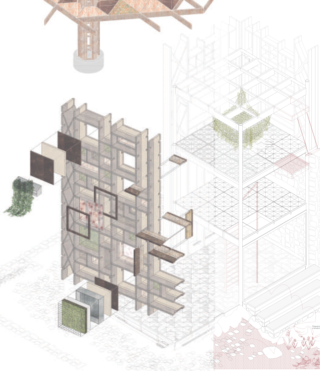 The Path - Architect-US