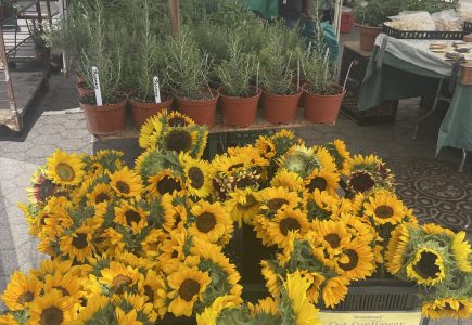 01 farmers market